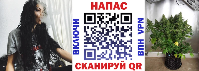 Шишки марихуана сатива mega вход Меленки